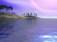 ����� �����������