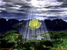 ����������� ���������