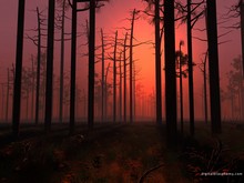 ����������� ������ �����