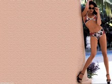 ���������� �����������