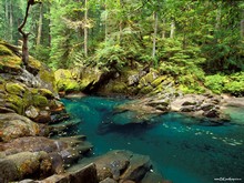 ����������� ���� ������������