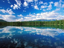 �������� �����������