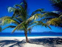 ����������� ������