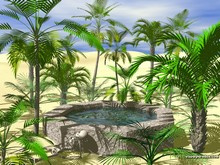 ����� �����������